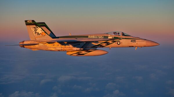  F/A-18E   - 俄羅斯衛星通訊社