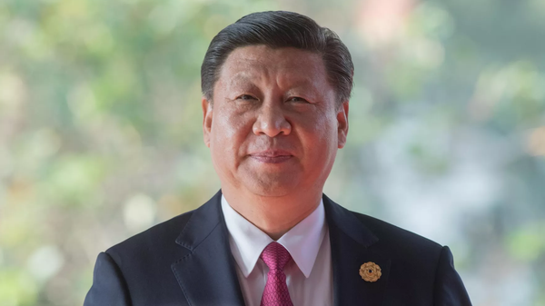 中国国家主席习近平 - 俄罗斯卫星通讯社